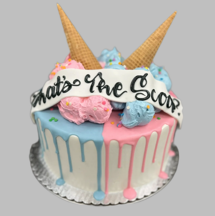 What's the Scoop - Gender Reveal